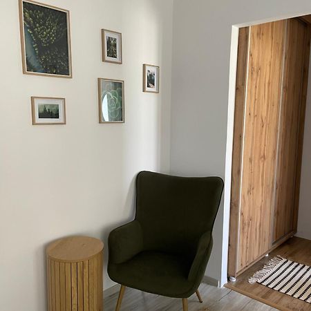 Carol Apartament'S Timisoara Exterior photo